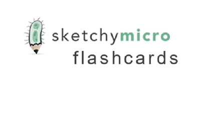 Sketchy Micro Flashcards.pdf